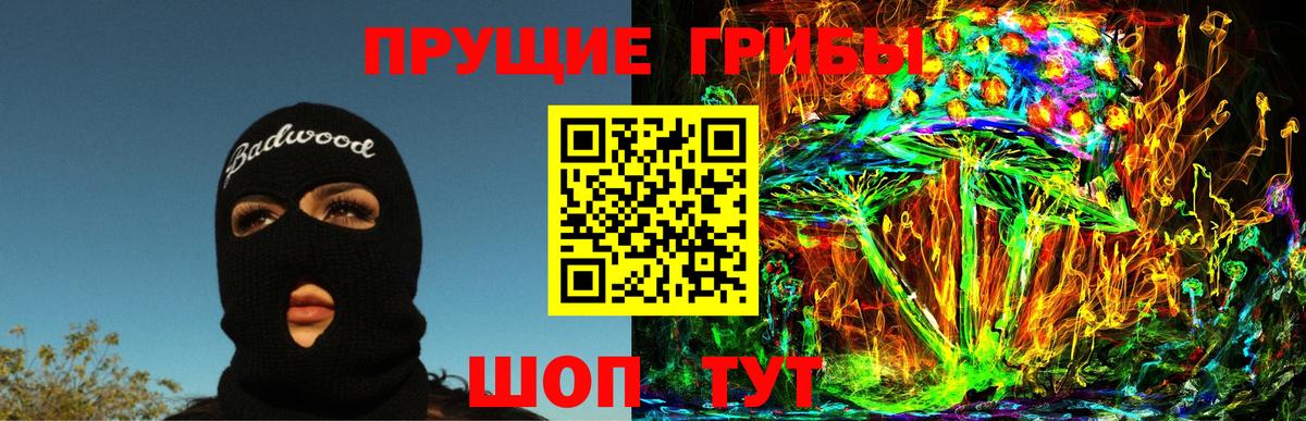 Кизилюрт  Псилоцибиновые грибы Psilocybine cubensis  Вход с VPN 